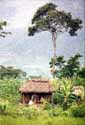 Mayan home seems untouched by the centuries.  Chiapas, México