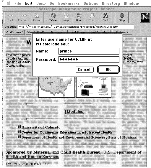 Font size in dissertation